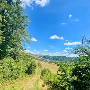 Mehr über den Artikel erfahren Hildegardweg 133 km Idar-Oberstein- Bingen