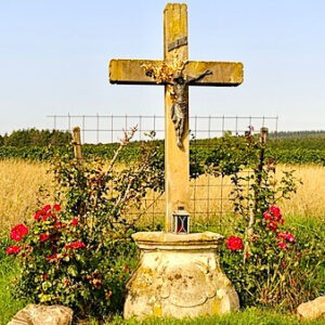 Mehr über den Artikel erfahren Hildegardweg 7. Etappe Braunweiler- Stromberg