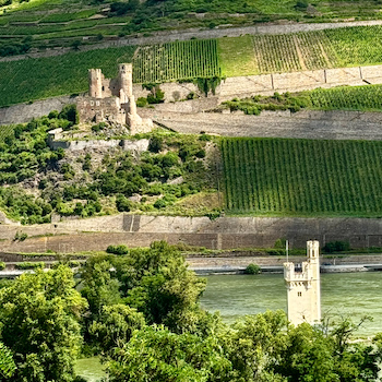 Mehr über den Artikel erfahren Rheinburgenweg 1. Etappe Bingen- Trechtingshausen